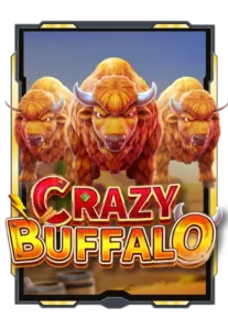 crazy-buffalo